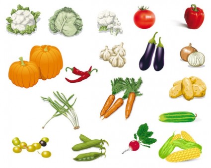Gemüse Bild Vektor