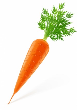 vector de imagen de verduras