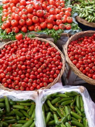 sayuran tomat mentimun