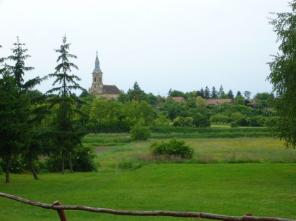 Gereja desa hijau