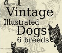 vintage Ilust cães brushpack