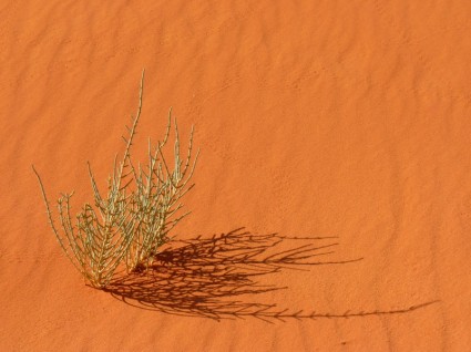 Wadi rum negev negev sa mạc