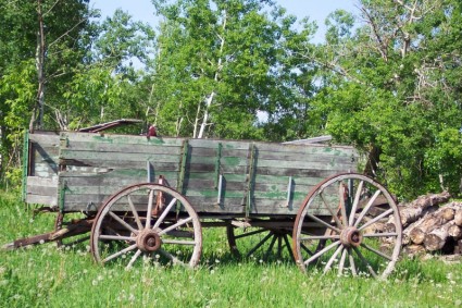 عربة وكومة الخشب