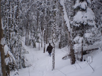 đi bộ trong tuyết