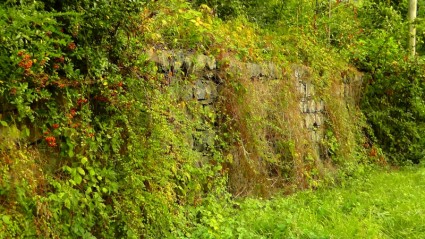 牆上的石頭石頭砌的牆