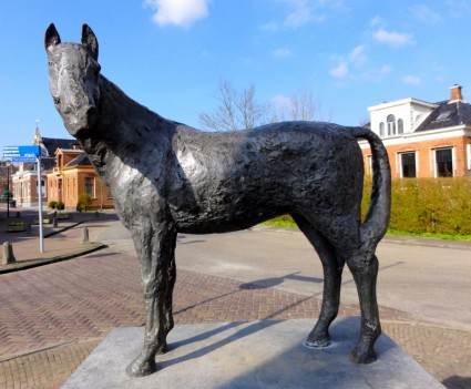 Warffum el caballo de Países Bajos