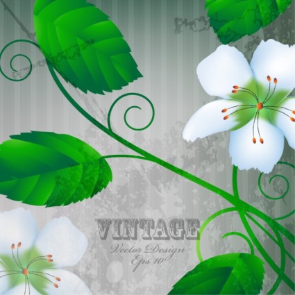 chauds flowers background vector