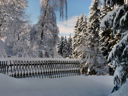 時計山ザクセン スイス連邦共和国の冬