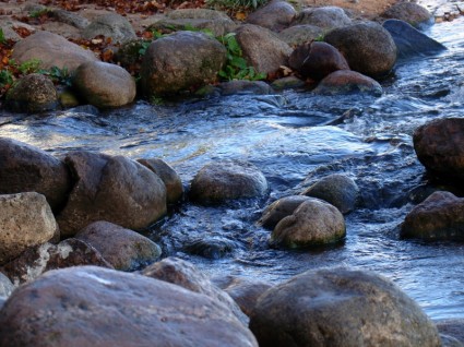 Wasser steine strömen