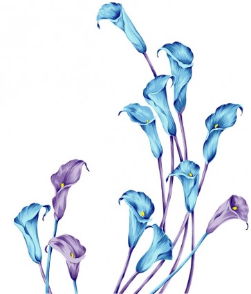 Aquarell-Stil Calla Lilien Blume Psd geschichtet