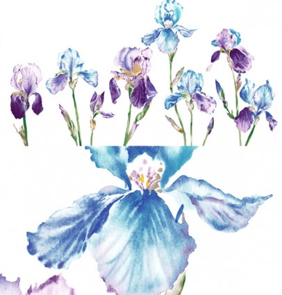 en couches psd de style aquarelle fleur d'orchidée