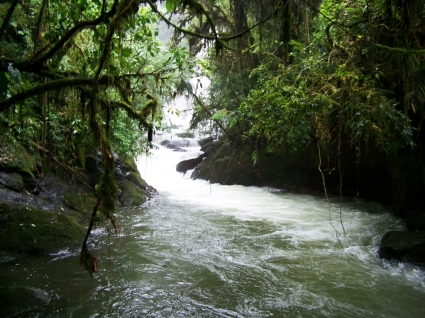 Cachoeira na natureza de rios costa rica floresta papel de parede