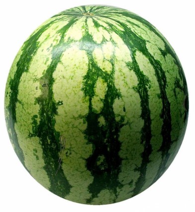 arbuz melon owoc