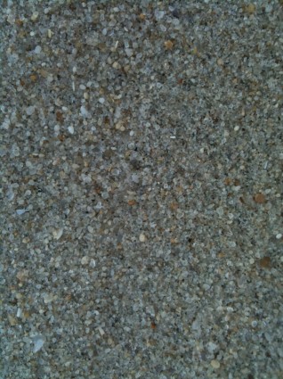 젖은 모래