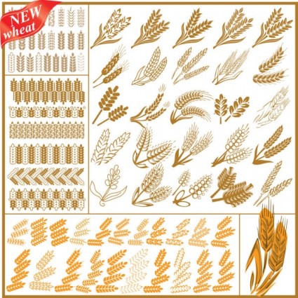 Wheat Pattern Vector