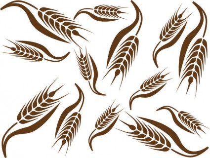 vector de patrón de trigo