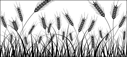 gandum siluet vektor bahan