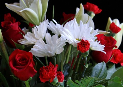 白 daisys 赤いバラ赤いカーネーション