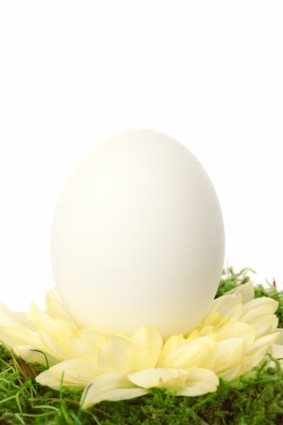 Beyaz Paskalya yortusu yumurta