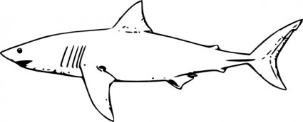 白いサメ クリップ アート