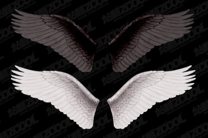 asas brancas e negras asas em camadas