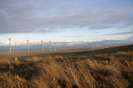 électricité de turbines de vent