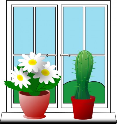 نافذة مع النباتات