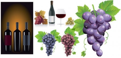 vetor de uvas para vinho