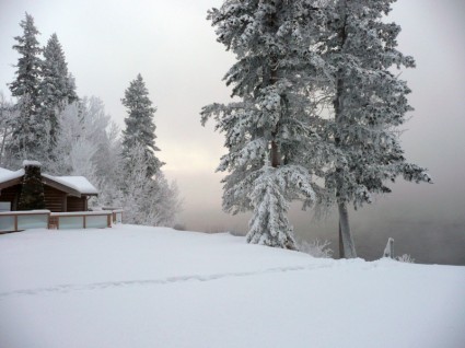 冬季 canim 湖不列颠哥伦比亚省