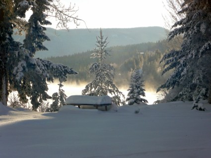 Winter Traum Canim lake