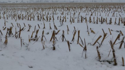 冬最初の雪の耕作