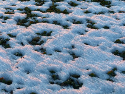 hiver au sol à la couverture de neige
