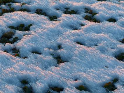 invierno de tierra cubierta de nieve