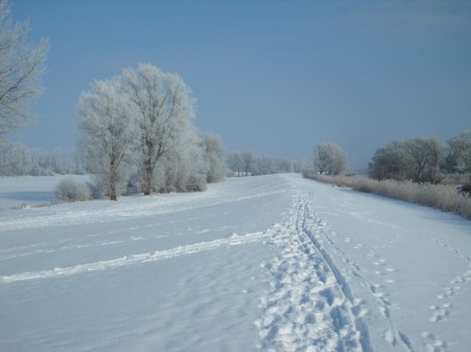 Raureif Winterfrost