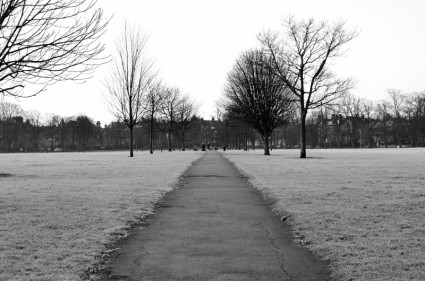 Winter Rauhreif im park