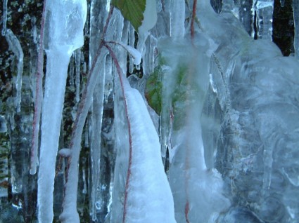 冬の氷の水