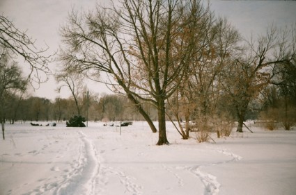 Winter Image Lublin