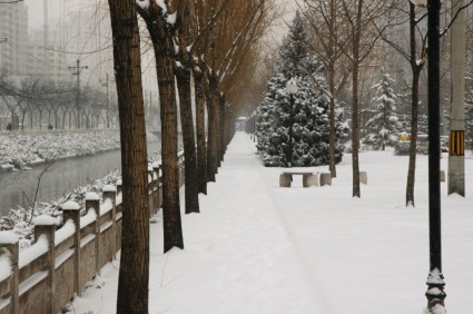 فصل الشتاء في بكين