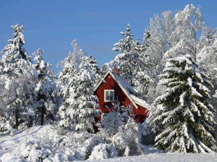 musim dingin di Swedia wallpaper musim dingin alam