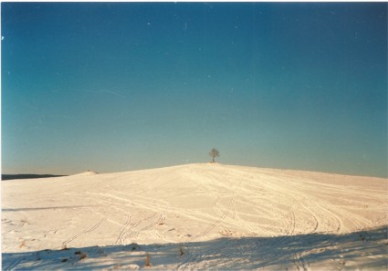 エルツ山地の冬