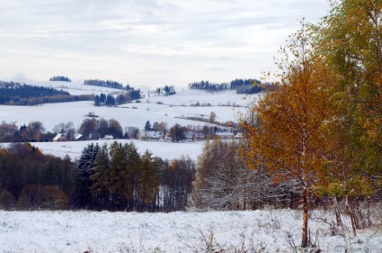 paisaje de invierno