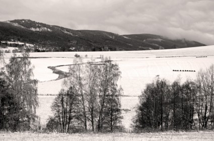 paisagem de Inverno