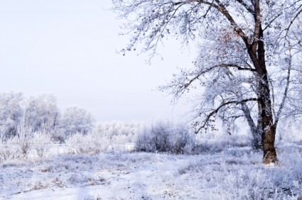 المناظر الطبيعية في فصل الشتاء