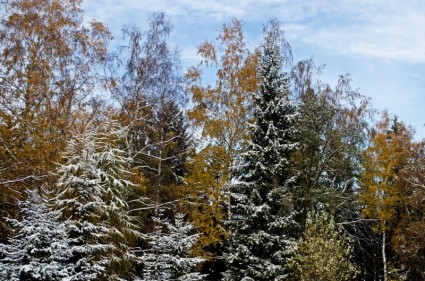 المناظر الطبيعية في فصل الشتاء