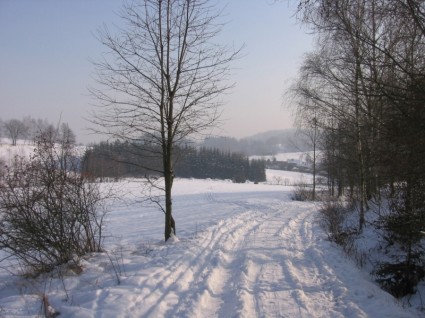 冬天風景