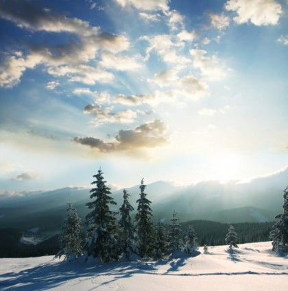 imagen de alta definición de paisaje de invierno