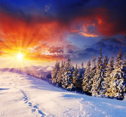 冬季景观清晰图片