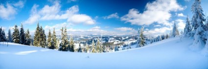 冬の風景の高精細溶融画像
