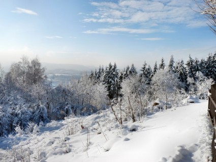 paisaje de invierno invernal