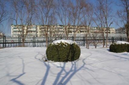 escena de la naturaleza de invierno en beijing